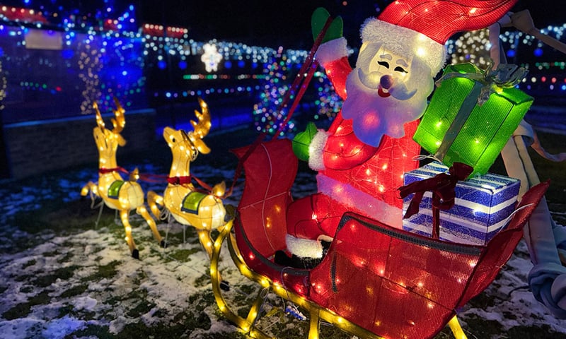 zoo-lights_2024_04_1000x600